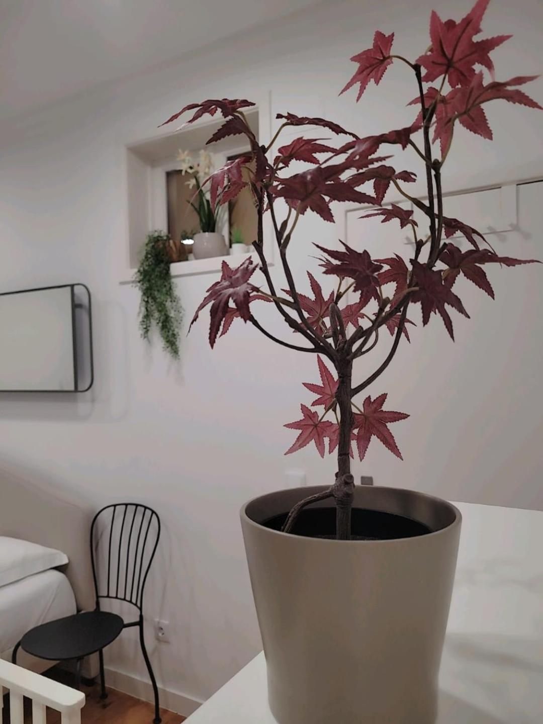 Varanda Privada Iroom Lissabon Exterior foto